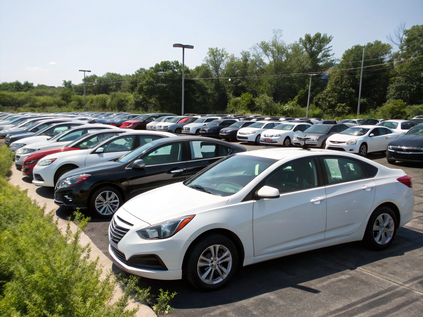 Clean pre-owned vehicles displayed in our Lockport lot